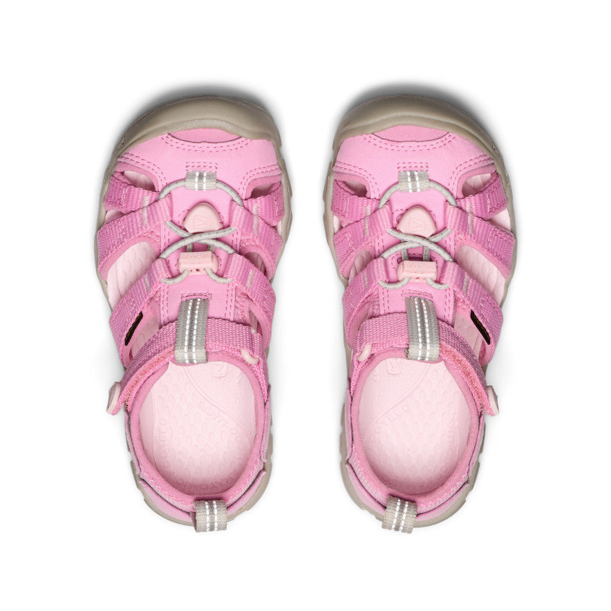 Moonlite Mauve/Giggle Pink